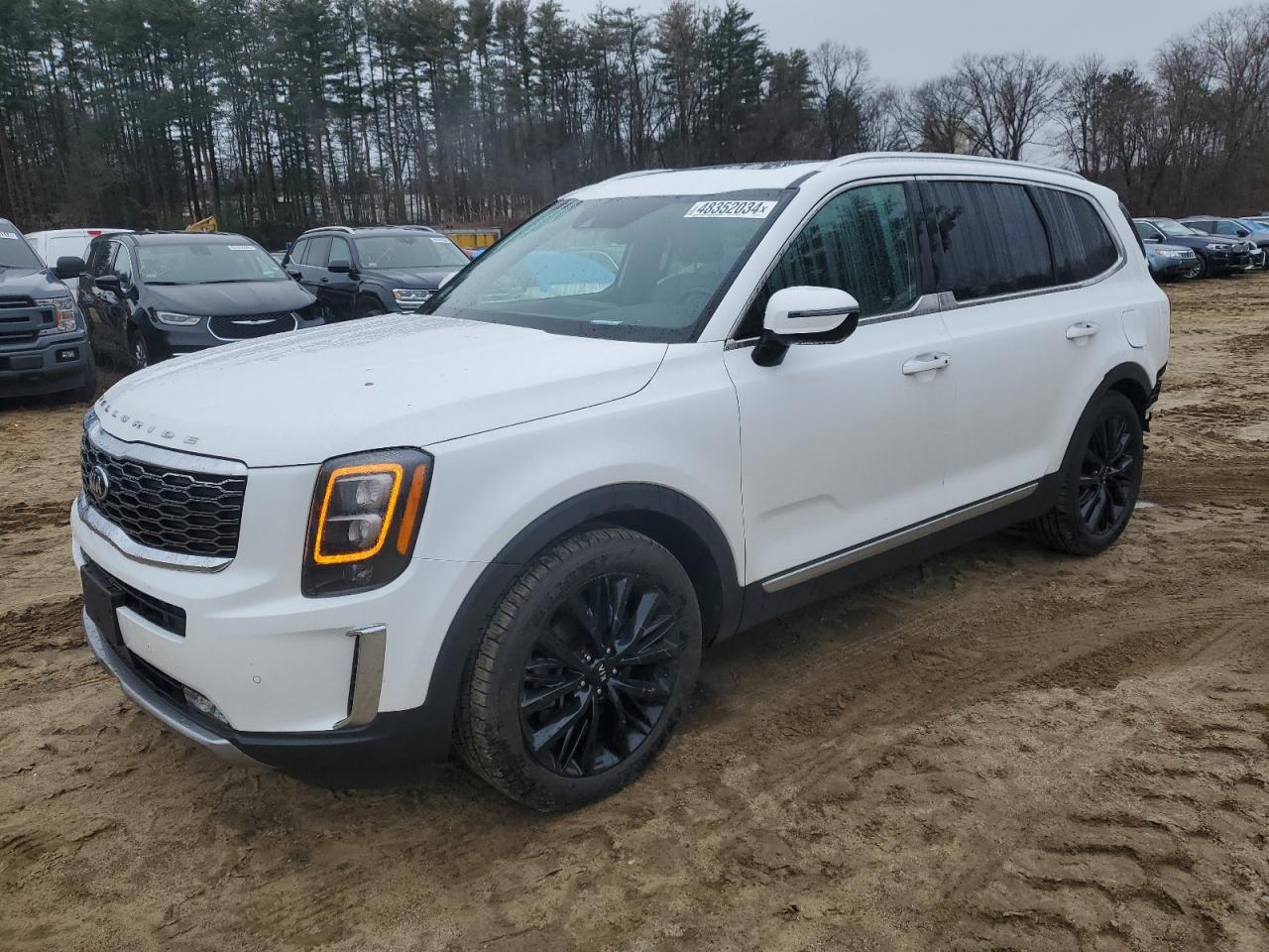 KIA TELLURIDE 2020 5xyp5dhcxlg064793