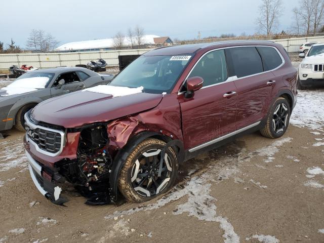 KIA TELLURIDE 2024 5xyp6dgcxrg555081