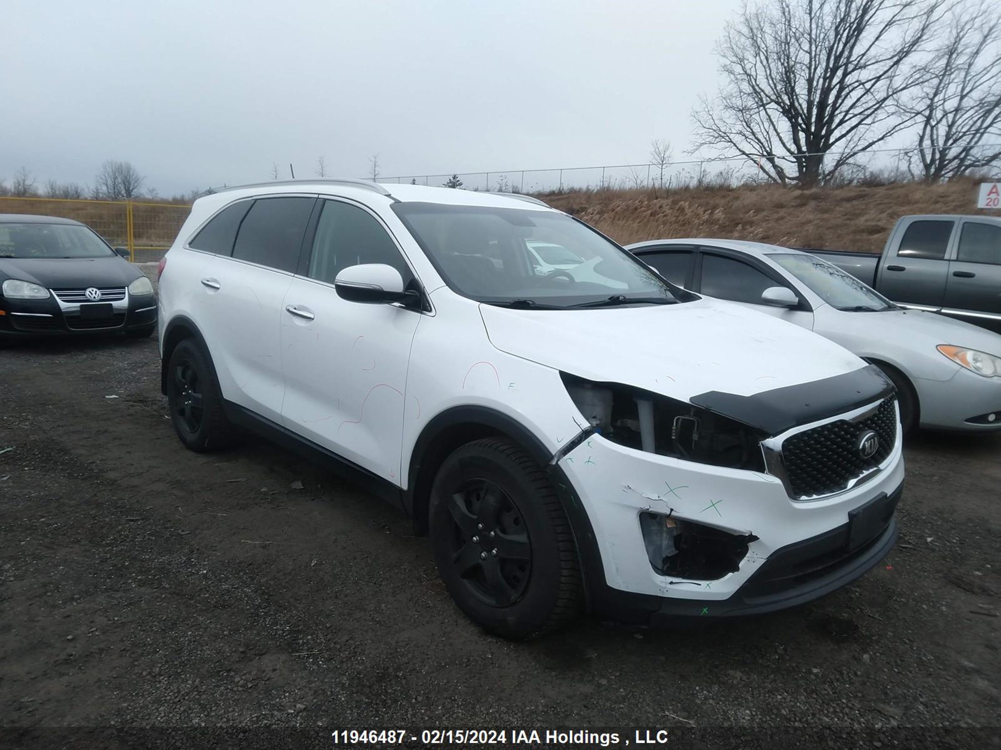 KIA SORENTO 2016 5xypg4a11gg112402