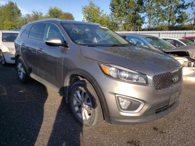 KIA SORENTO LX 2016 5xypg4a14gg013069