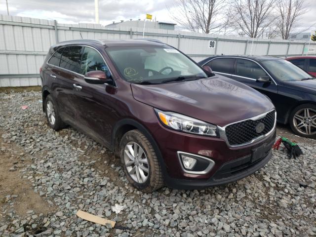 KIA NULL 2016 5xypg4a16gg126117