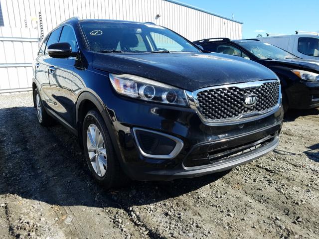 KIA NULL 2016 5xypg4a30gg088773