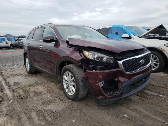 KIA SORENTO 2017 5xypg4a30hg260012