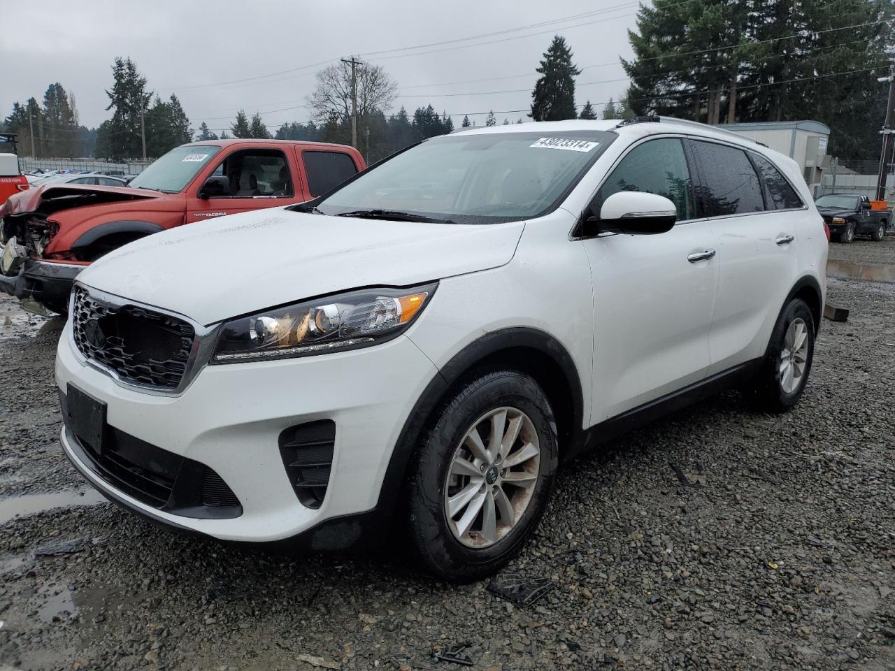 KIA SORENTO 2019 5xypg4a30kg590465