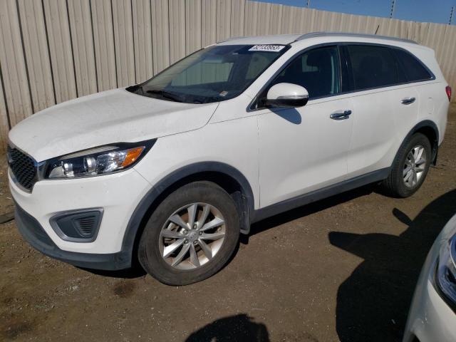 KIA SORENTO LX 2017 5xypg4a31hg200577