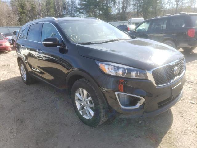 KIA SORENTO LX 2017 5xypg4a31hg216617