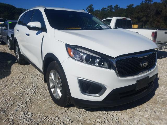 KIA NULL 2016 5xypg4a32gg181505