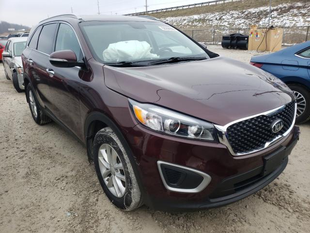 KIA SORENTO 2017 5xypg4a32hg324146