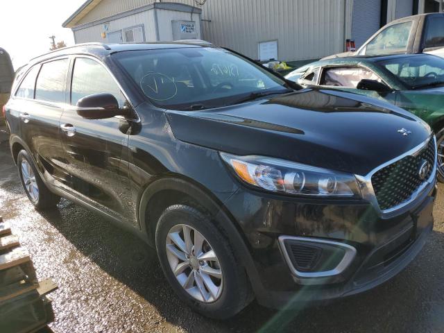 KIA SORENTO LX 2016 5xypg4a33gg069635