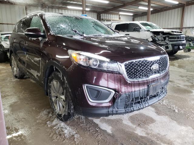 KIA SORENTO LX 2016 5xypg4a33gg075712