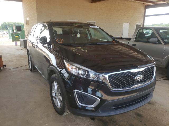 KIA NULL 2016 5xypg4a33gg091747