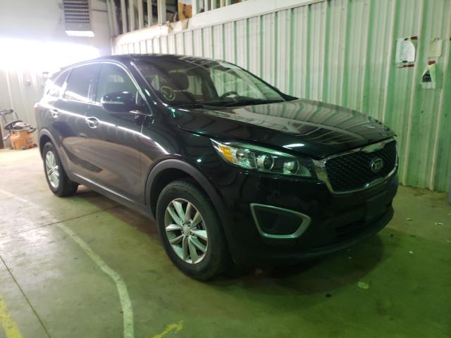 KIA NULL 2016 5xypg4a33gg139618