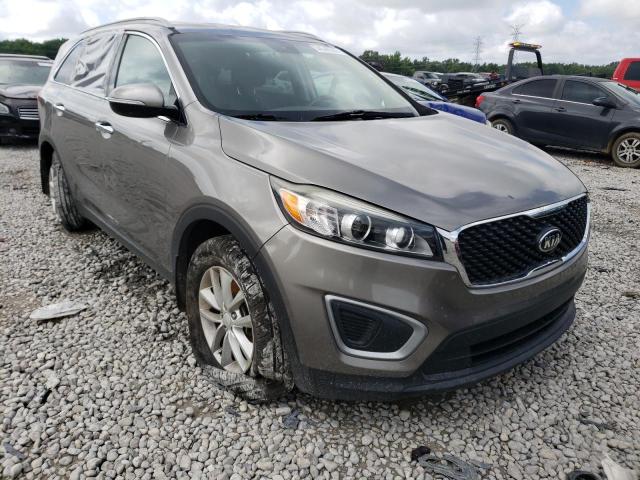 KIA NULL 2016 5xypg4a33gg161862