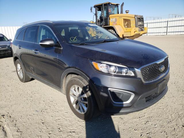 KIA SORENTO LX 2016 5xypg4a33gg186289