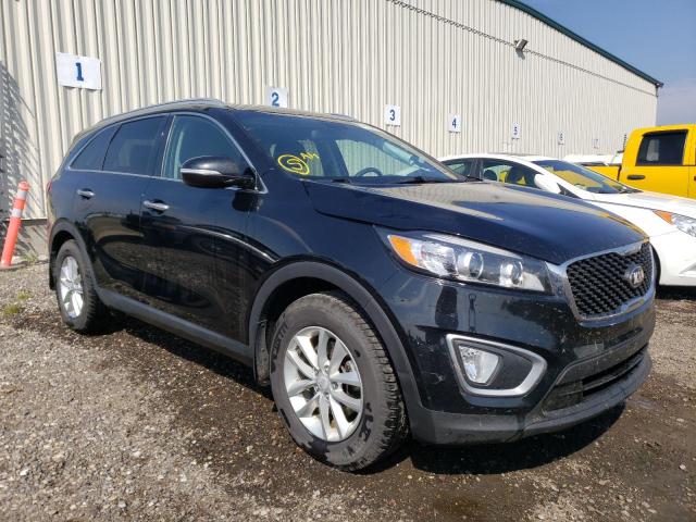 KIA SORENTO LX 2016 5xypg4a34gg038426