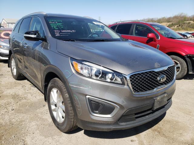 KIA NULL 2016 5xypg4a34gg076819