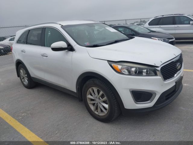 KIA SORENTO 2017 5xypg4a34hg257839