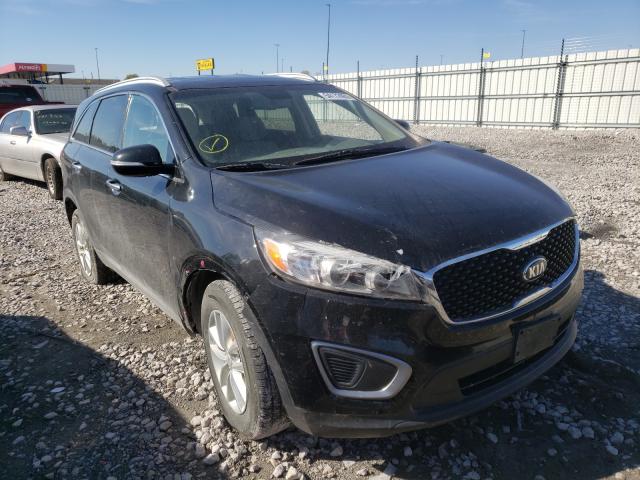 KIA SORENTO LX 2016 5xypg4a35gg005337