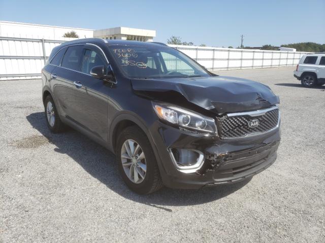 KIA NULL 2016 5xypg4a35gg151656