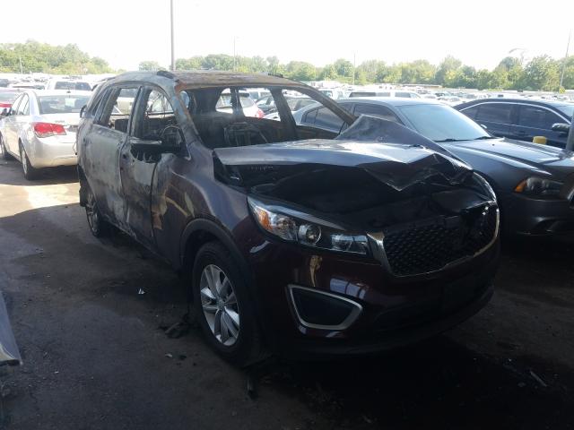 KIA SORENTO LX 2017 5xypg4a35hg254965