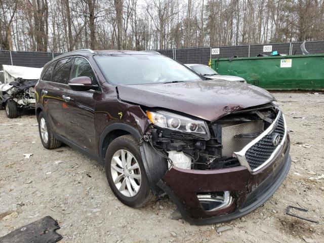 KIA SORENTO 2016 5xypg4a36gg034829