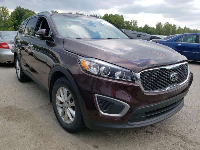 KIA SORENTO LX 2016 5xypg4a36gg067555