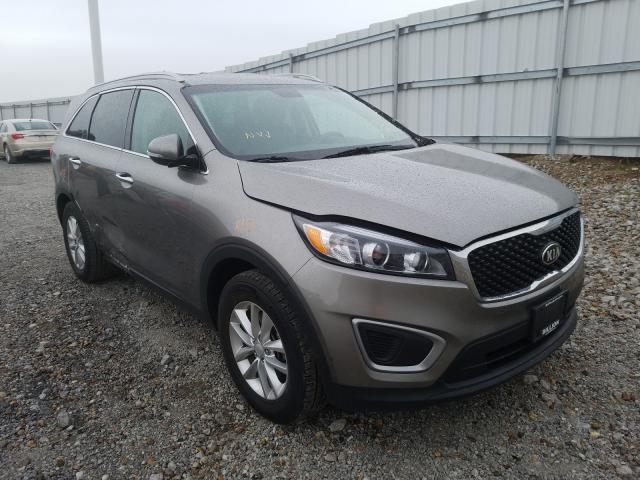 KIA SORENTO 2015 5xypg4a36gg114261