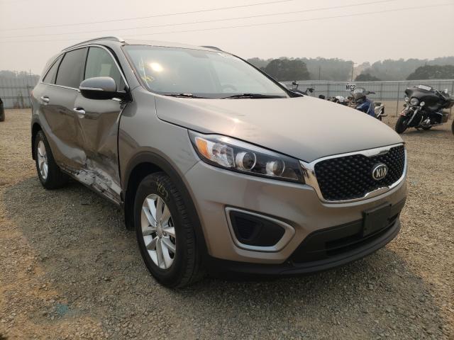 KIA SORENTO LX 2016 5xypg4a36gg138205