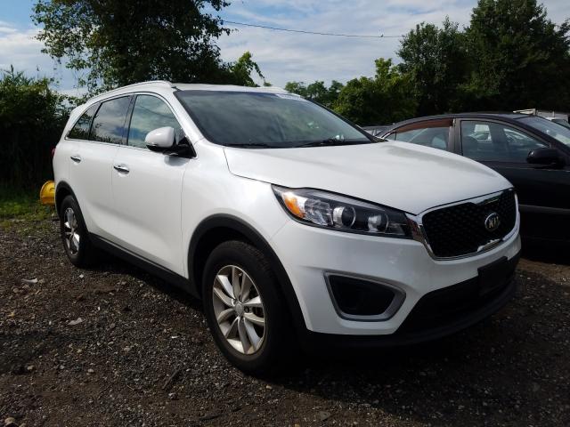 KIA SORENTO LX 2016 5xypg4a36gg178459