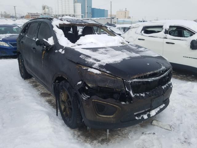 KIA SORENTO LX 2017 5xypg4a36hg254666