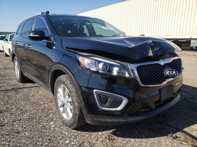 KIA SORENTO LX 2018 5xypg4a36jg416334