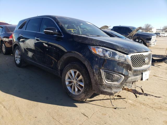 KIA NULL 2016 5xypg4a37gg007266