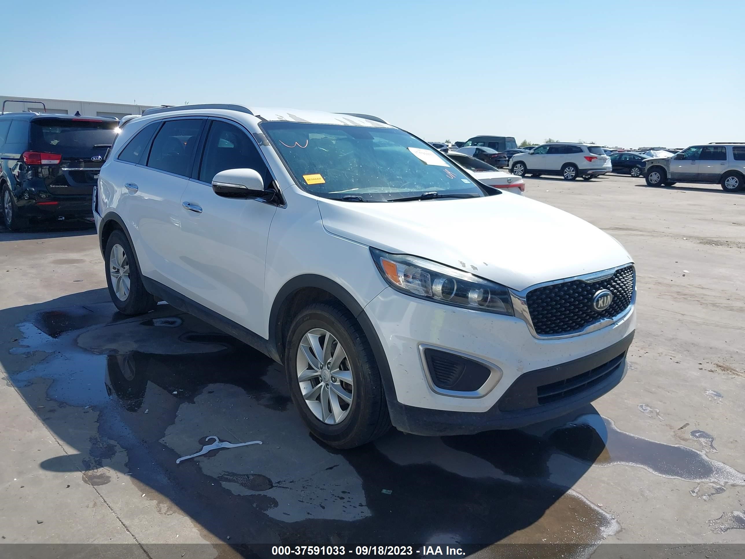 KIA SORENTO 2016 5xypg4a38gg010306