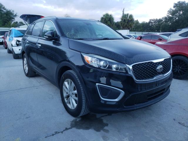 KIA NULL 2017 5xypg4a38hg226531