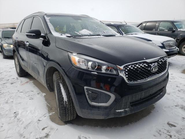 KIA SORENTO LX 2016 5xypg4a39gg018270