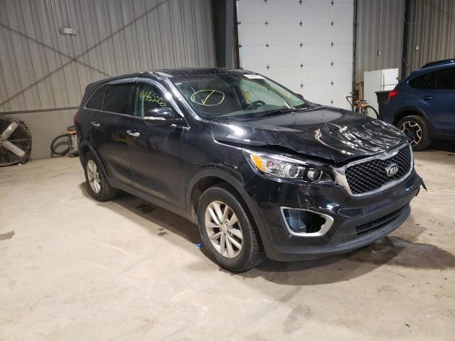 KIA SORENTO LX 2016 5xypg4a39gg081093