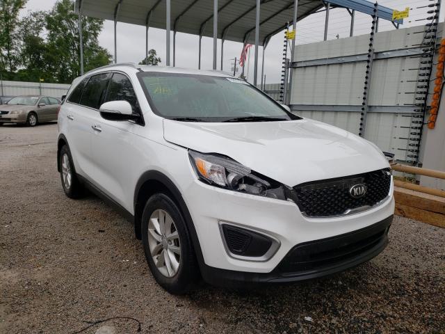 KIA SORENTO LX 2016 5xypg4a39gg085404