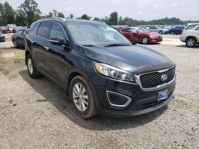 KIA SORENTO LX 2016 5xypg4a39gg089422