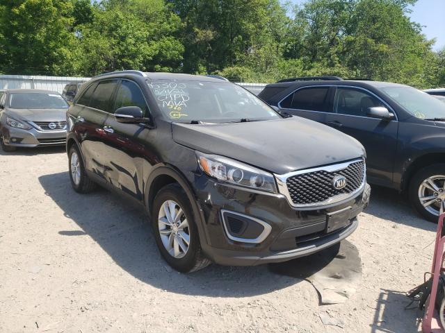 KIA SORENTO LX 2016 5xypg4a39gg095298