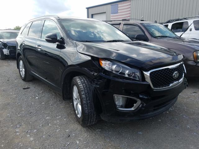 KIA NULL 2016 5xypg4a39gg114271