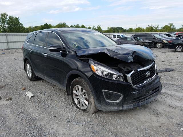 KIA NULL 2016 5xypg4a39gg164524