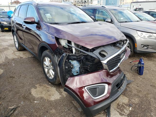 KIA SORENTO LX 2017 5xypg4a39hg294367