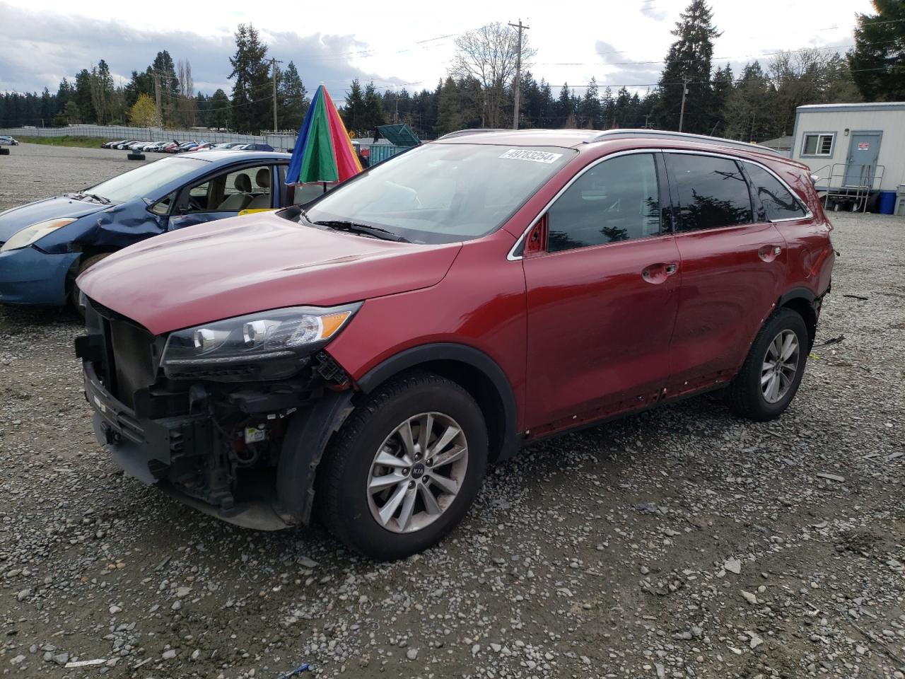 KIA SORENTO 2020 5xypg4a39lg649255