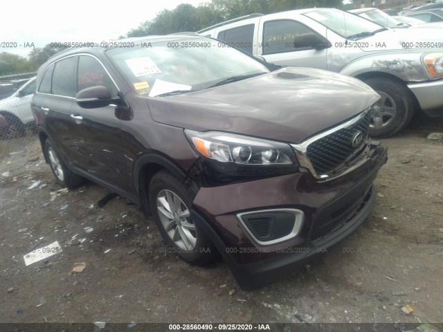 KIA SORENTO 2016 5xypg4a3xgg008542