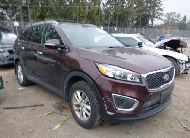 KIA SORENTO 2016 5xypg4a3xgg043789