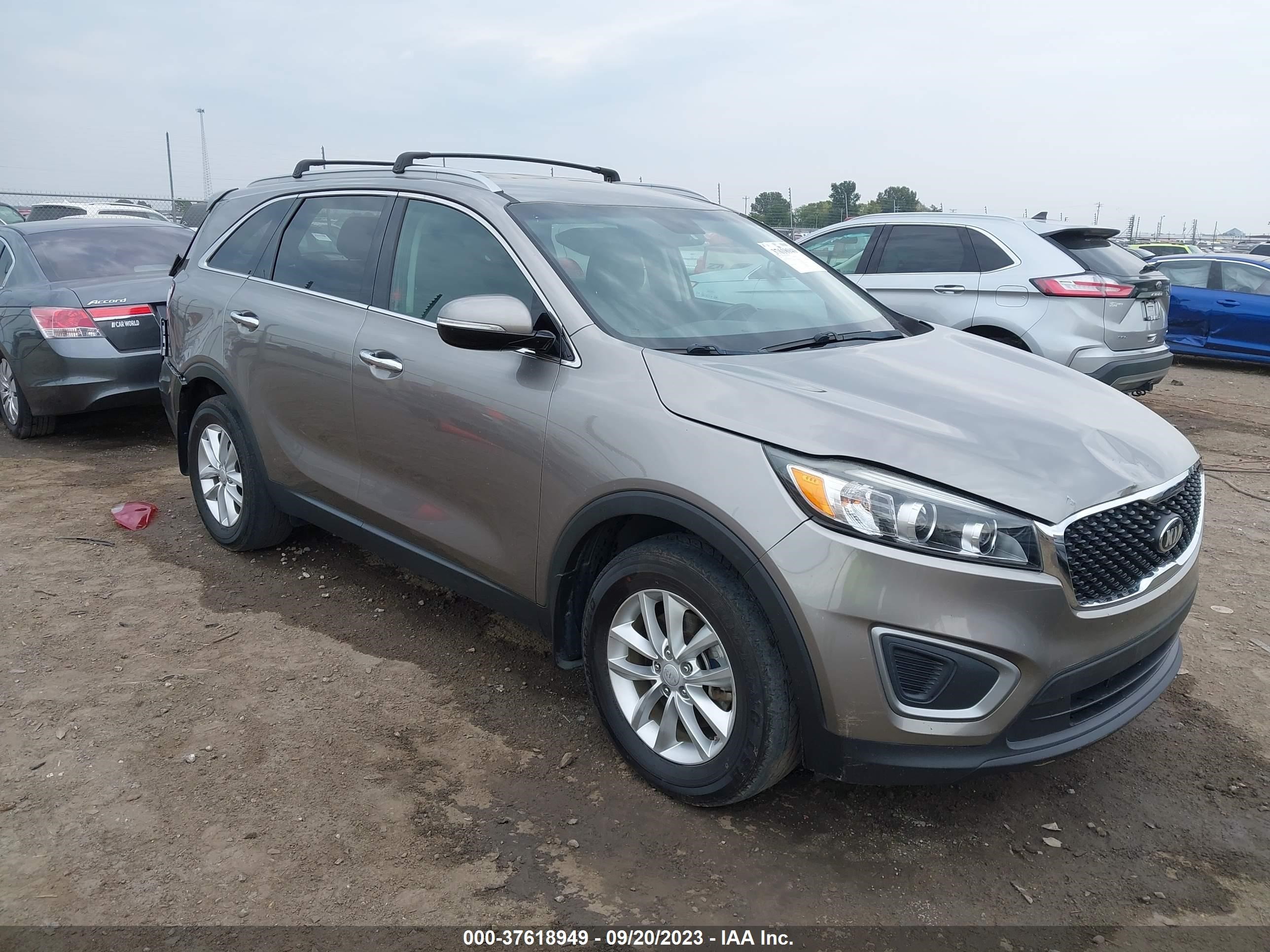 KIA SORENTO 2016 5xypg4a3xgg062309