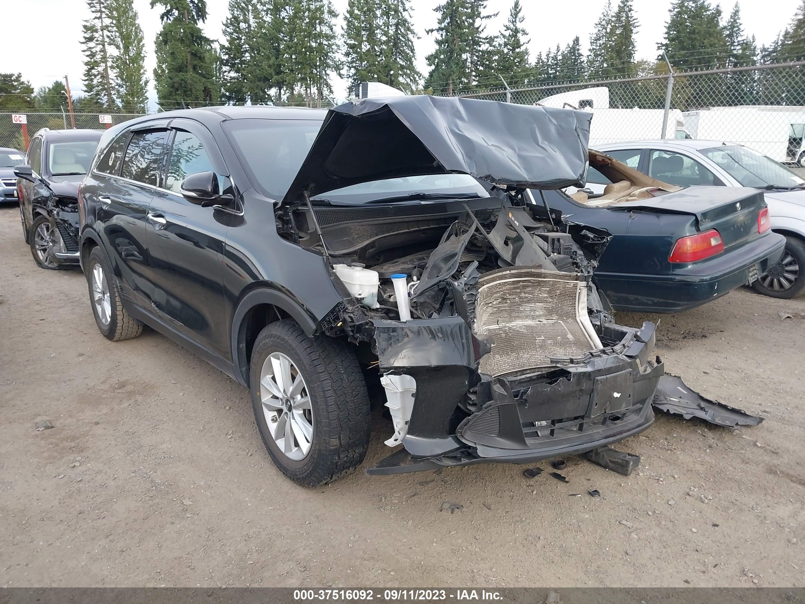 KIA SORENTO 2019 5xypg4a3xkg583281