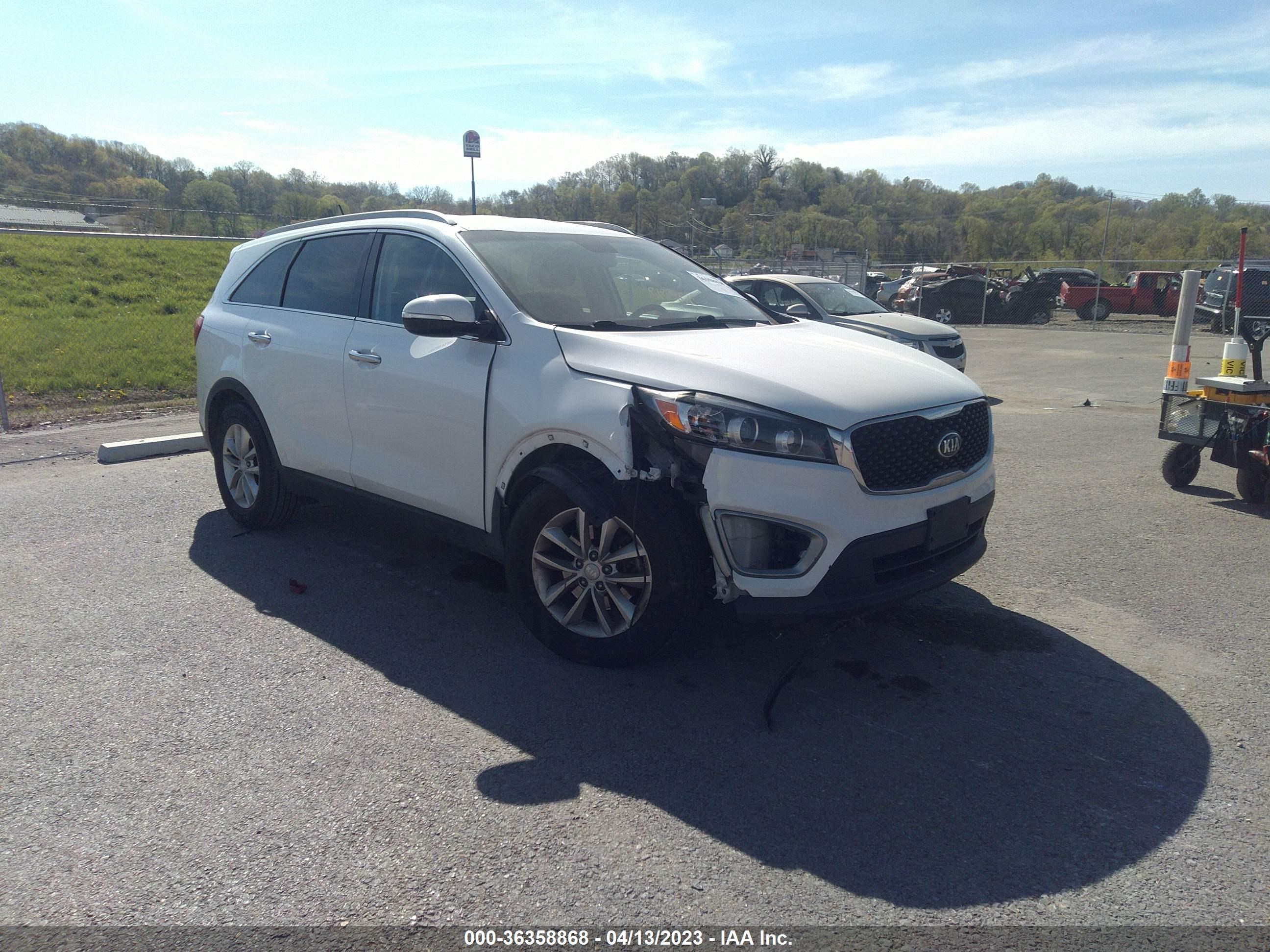 KIA SORENTO 2016 5xypg4a51gg178077