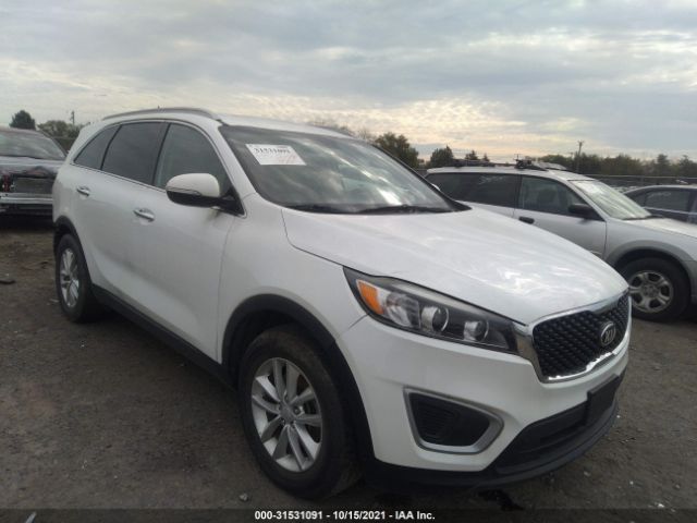 KIA SORENTO 2017 5xypg4a51hg209507