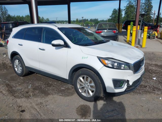 KIA SORENTO 2017 5xypg4a55hg213723